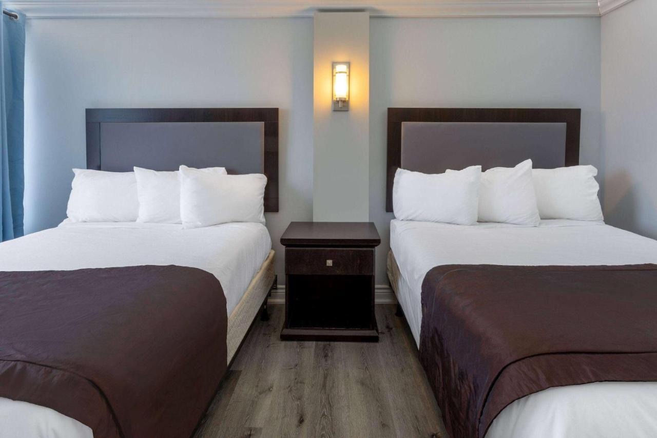 Travelodge By Wyndham סרניה מראה חיצוני תמונה